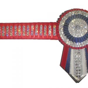 EE50- 15.5" Red,Navy,White Silver Bling Browband